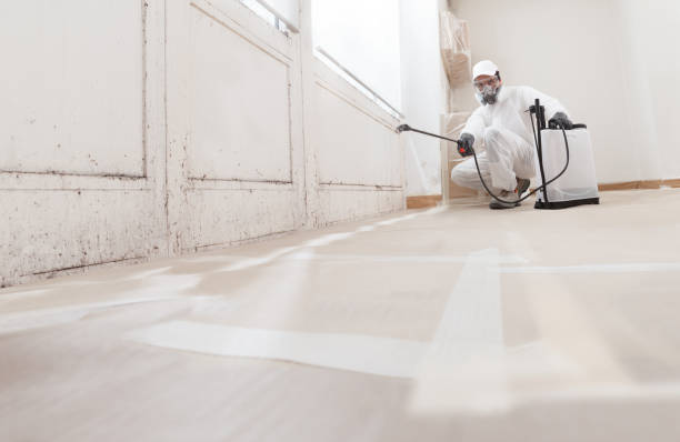 24/7 Emergency Bathroom Mold Removal experts in Georgetown, CO