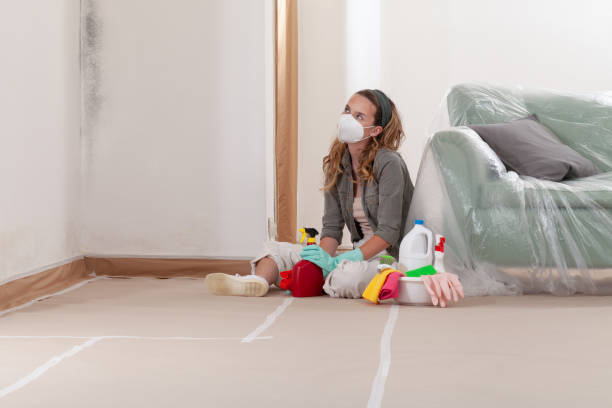 Reliable Bathroom Mold Removal contractor in Georgetown, CO by WQB Mold Removal