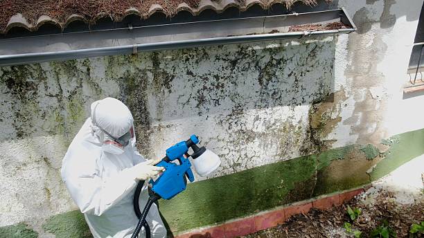 Top rated local Bathroom Mold Removal specialists in Georgetown, CO